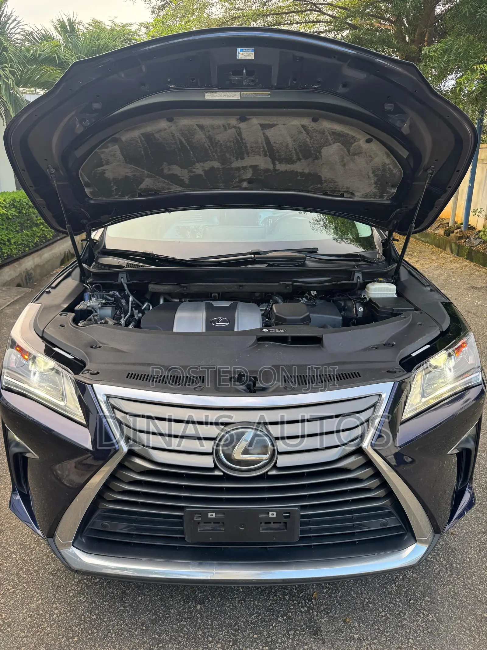 Lexus RX 2018 Blue