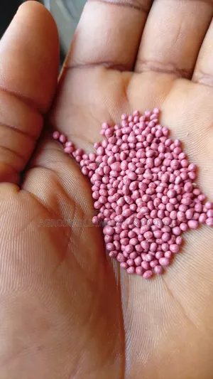 Alfalfa Seeds 25kg Bag