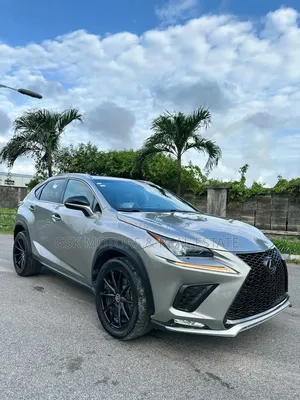 Lexus NX 300 AWD 2020 Gold