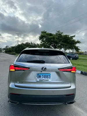 Lexus NX 300 AWD 2020 Gold