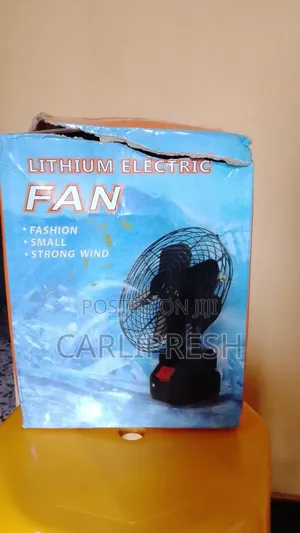 Lithiium Electric Fan