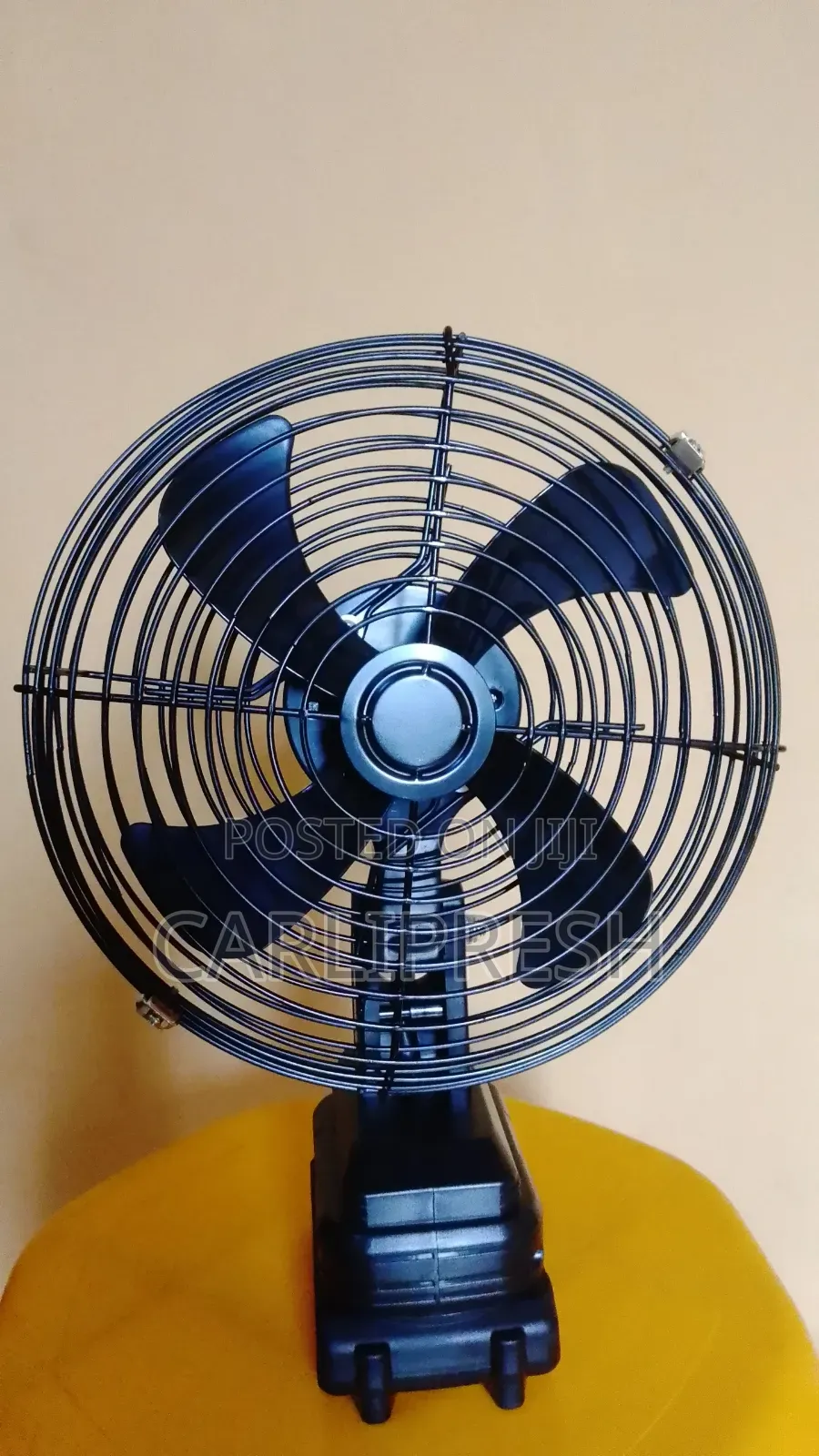 Lithiium Electric Fan