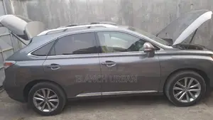 Lexus RX 2014 Gray