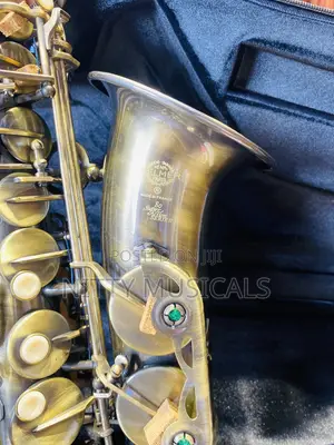 Henry Selmer Paris Alto Saxophone (Bronze)