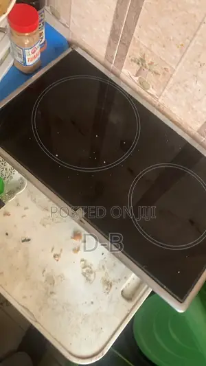 Dual Electric Hotplate for Sale