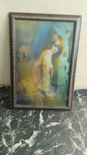 Dior Day & Night Blind + 3 3D Frames - Benin Clearance