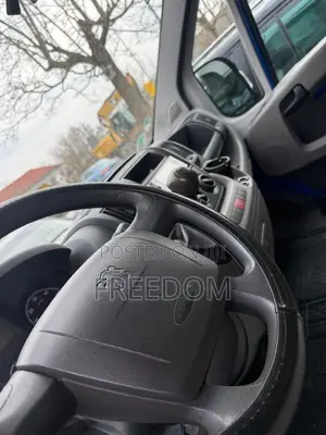Peugeot Boxer 2009 Blue