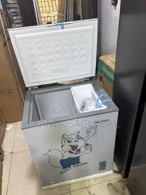 Skyrun BD-180 180L Freezer
