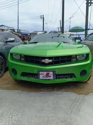 Chevrolet Camaro 2010 Gray