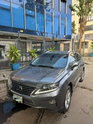 Lexus RX 2014 Gray