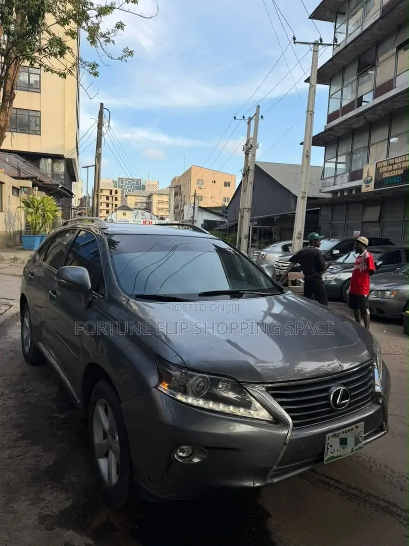 Lexus RX 2014 Gray