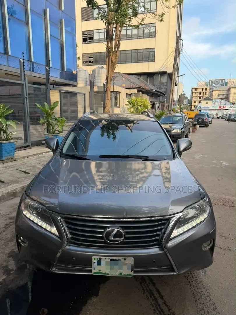 Lexus RX 2014 Gray
