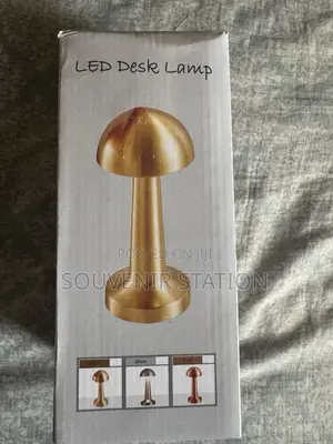 Rechargeable LED Desk Lamp