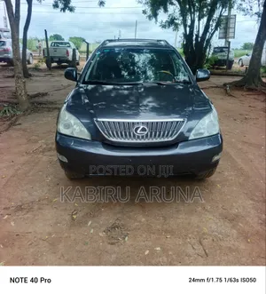 Lexus RX 2006 Gray