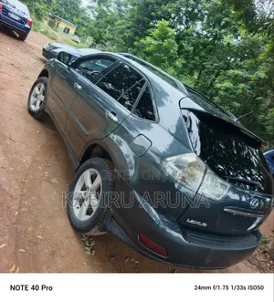 Lexus RX 2006 Gray
