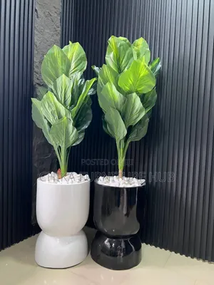 Fiberglass Plants