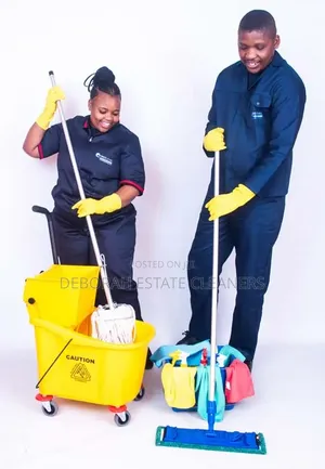 Affordable Commercial and Domestic Cleaning Service