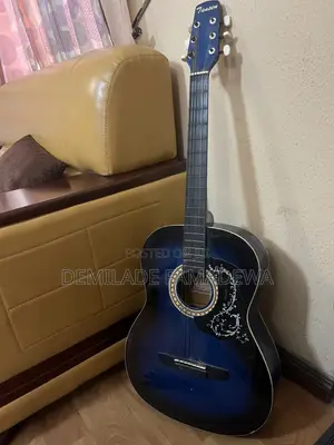 Tansen 38C Acoustic Guitar - Blue Burst - Anthony Village
