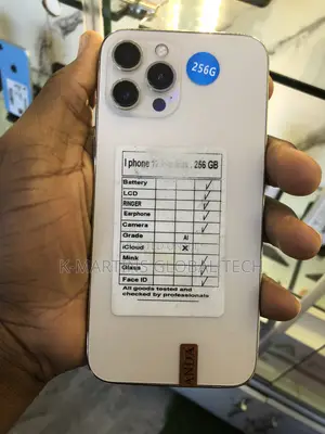 Apple iPhone 12 Pro Max 256 GB Gold