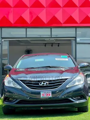 Hyundai Sonata 2011 Blue