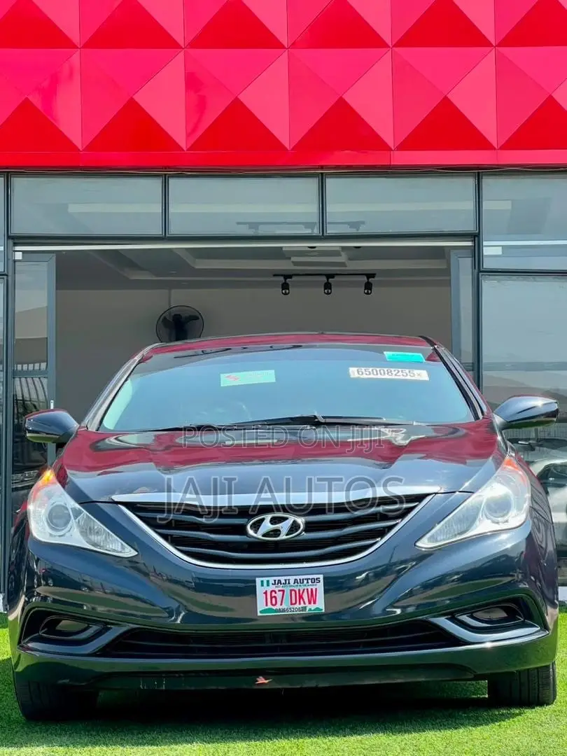Hyundai Sonata 2011 Blue