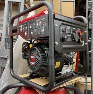 Bs2500i-Cw 2.2kva Original Bison Start and Welder Machine Generator