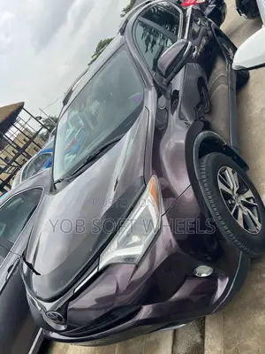 Toyota RAV4 XLE AWD (2.5L 4cyl 6A) 2017 Brown