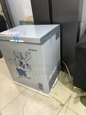 Skyrun BD-180 180L Home Freezer