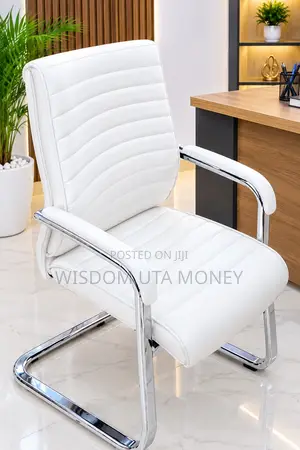 Luxury Executive Visitor Chair With Chrome Cantilever Frame.