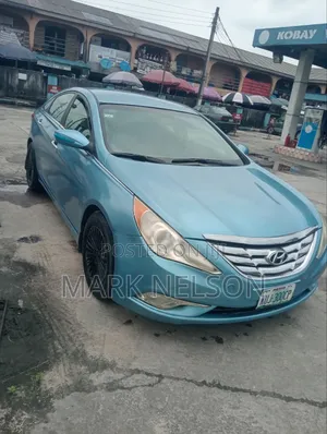 Hyundai Sonata 2011 Blue