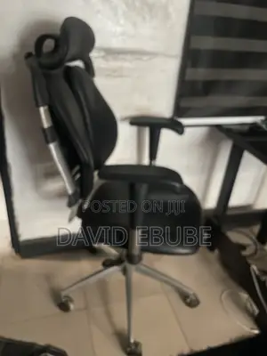 Ergonomic Chair