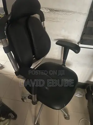 Ergonomic Chair