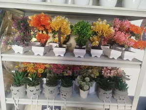 Stylish Plants