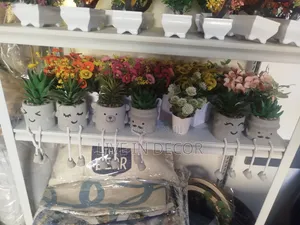 Stylish Plants