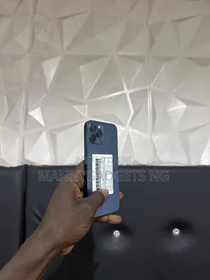 Apple iPhone 12 Pro Max 256 GB Blue