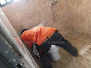 Toilet Seat Whitening