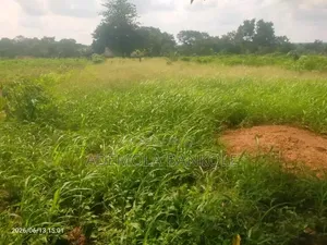9 Plot of Land for Sales