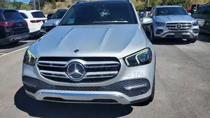 Mercedes-Benz GLE-Class GLE 450 4MATIC 2020 Silver