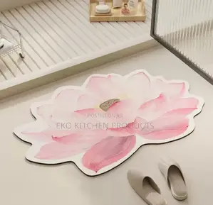 Absorbent Door Mat
