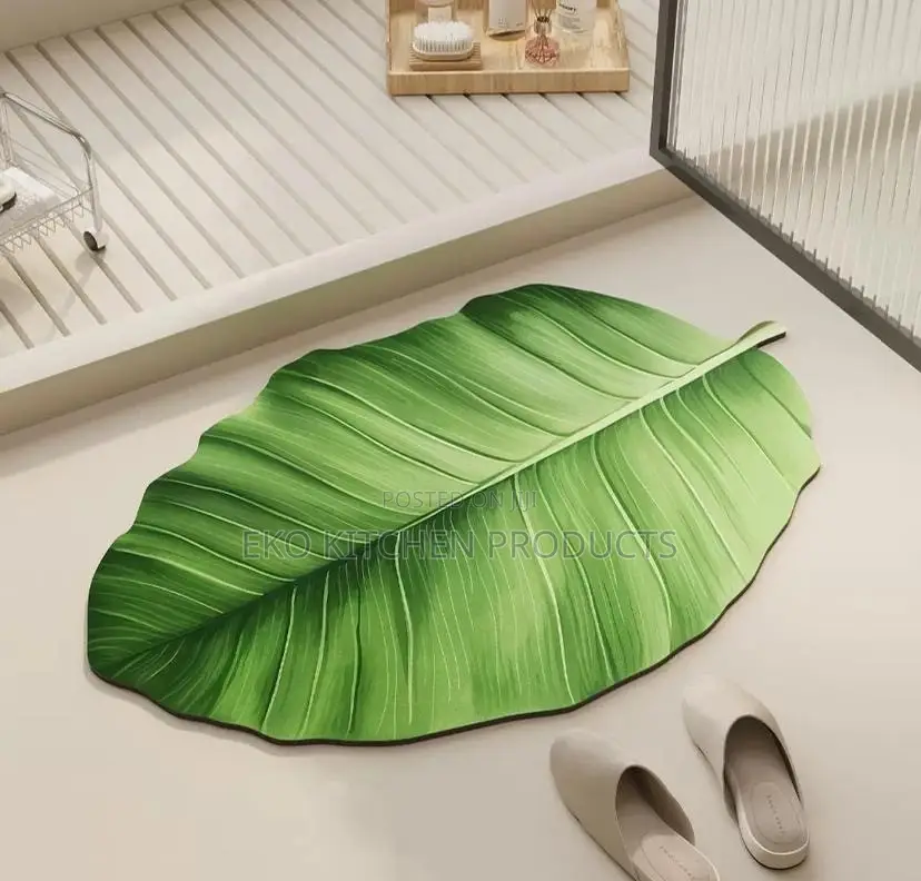 Absorbent Door Mat