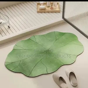 Absorbent Door Mat