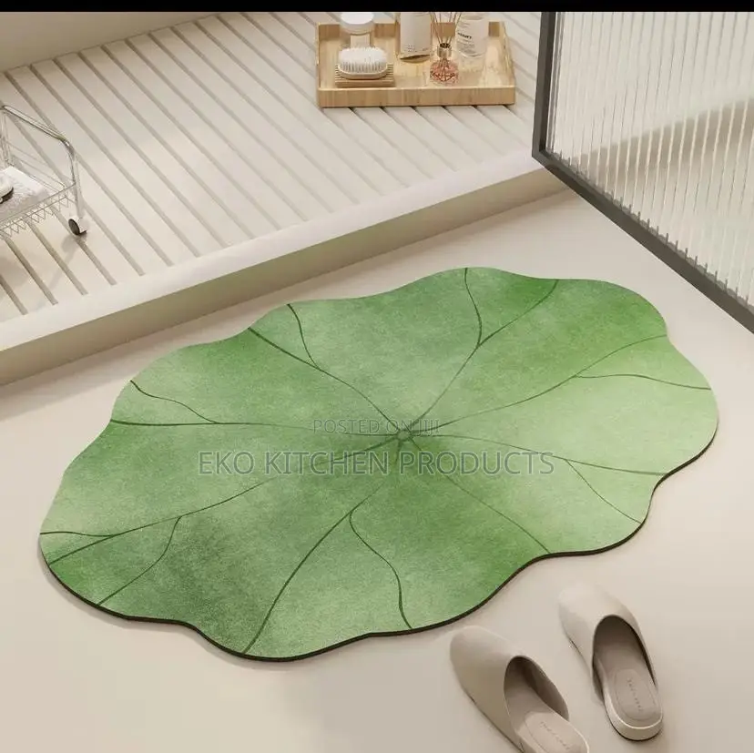 Absorbent Door Mat