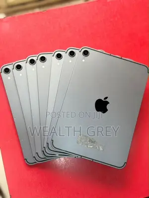 Apple iPad mini 6 256 GB Gray