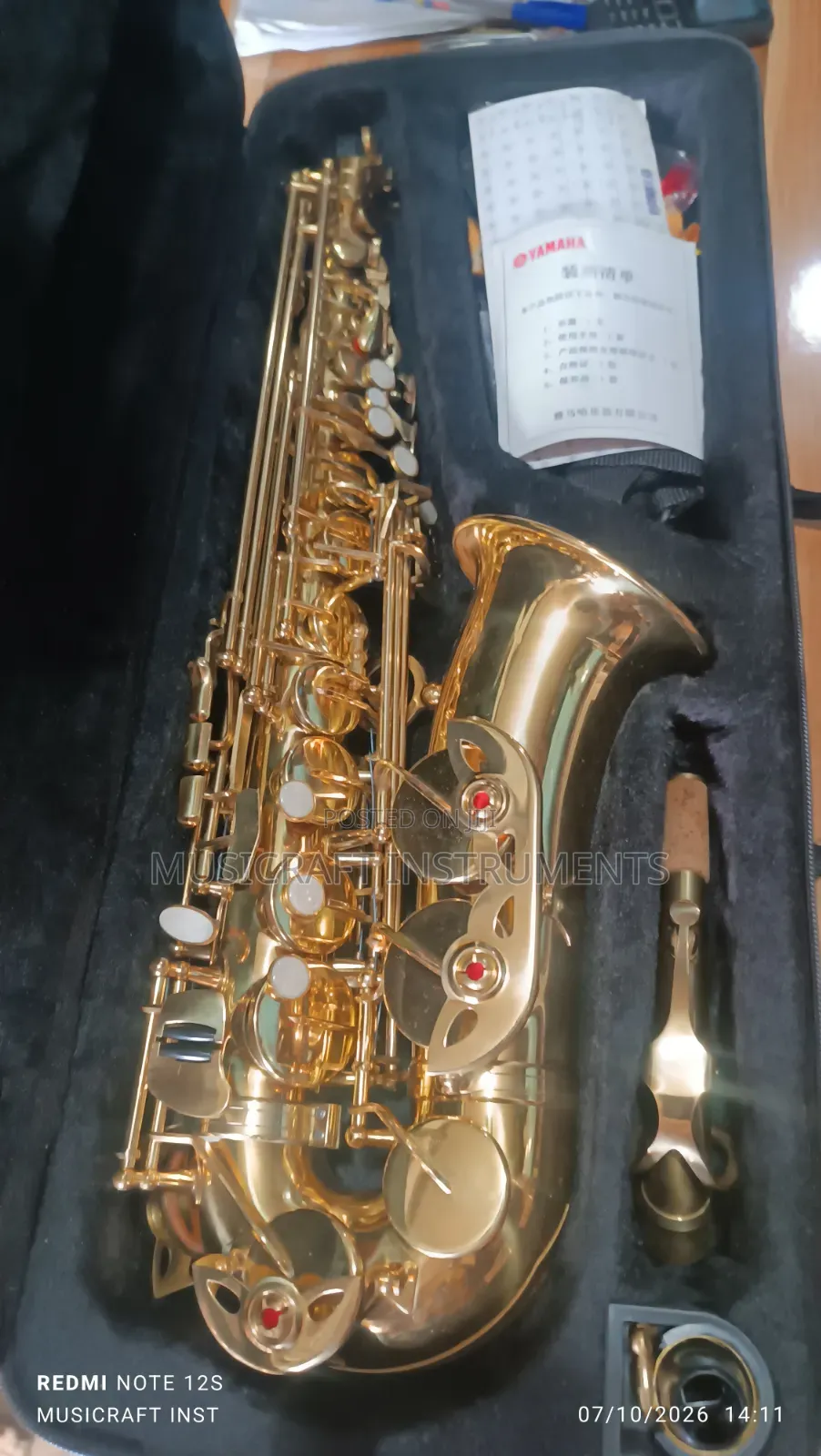 Customised Professional Alto Saxophone
