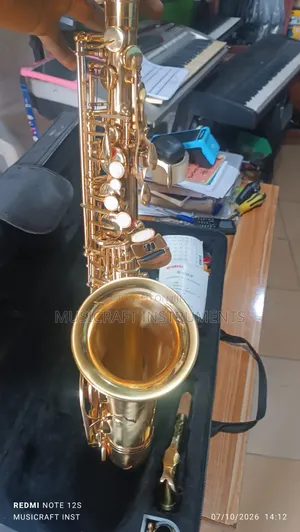 Customised Professional Alto Saxophone