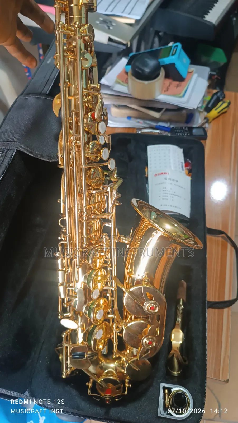 Customised Professional Alto Saxophone