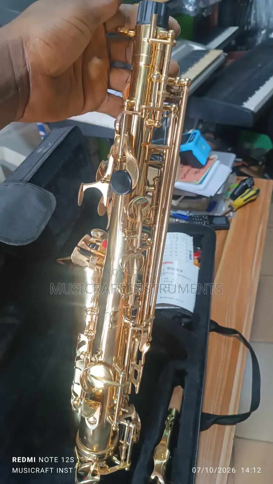 Customised Professional Alto Saxophone