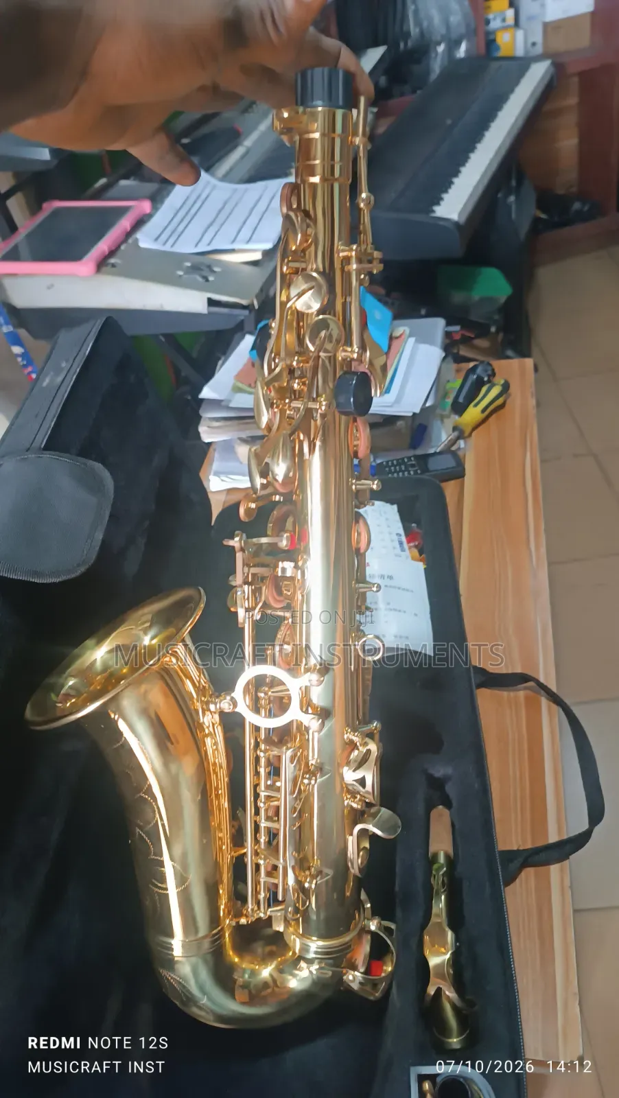 Customised Professional Alto Saxophone