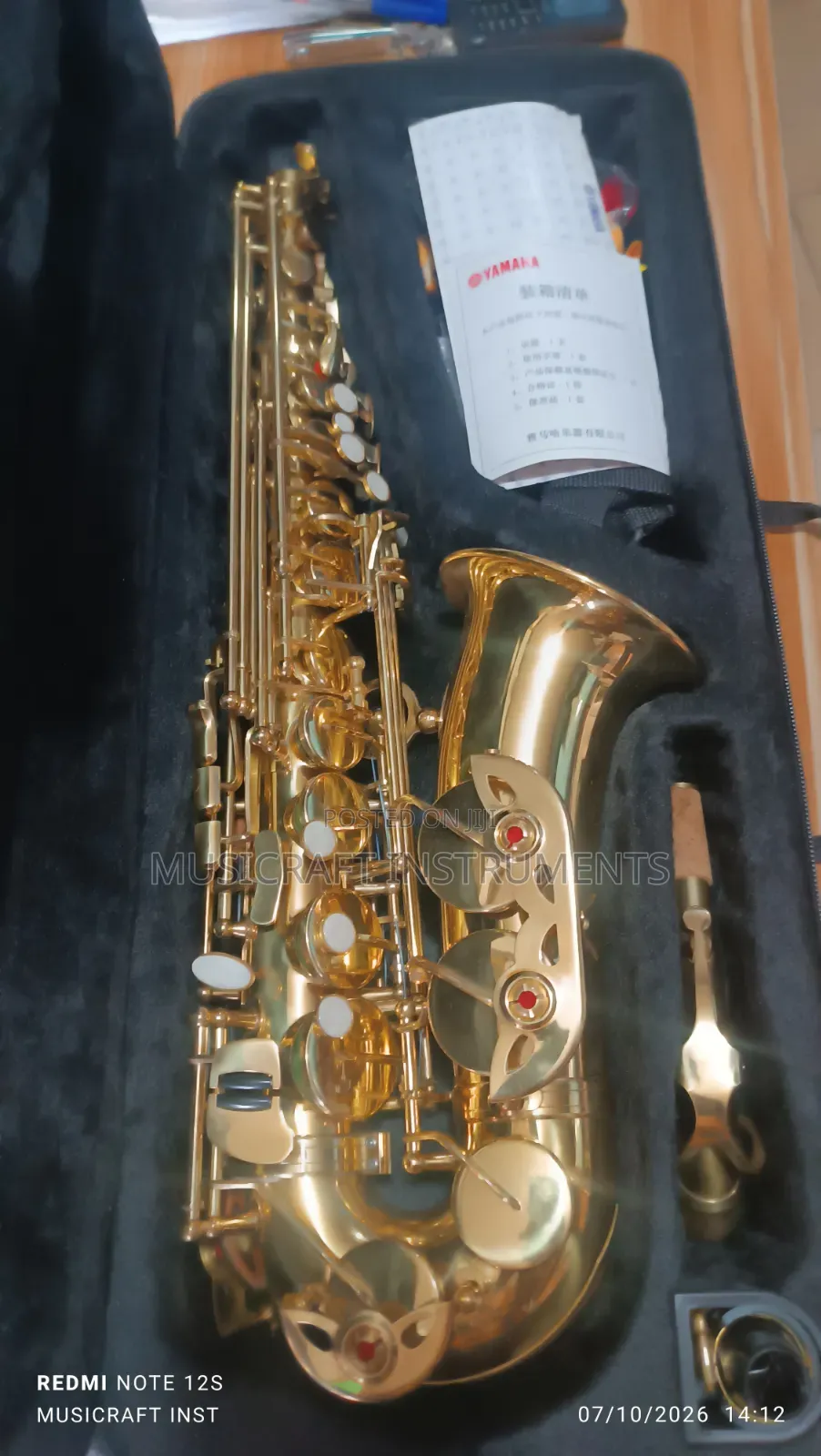 Customised Professional Alto Saxophone