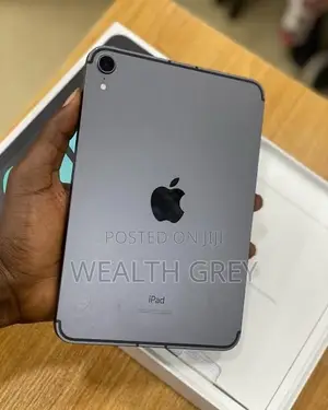 Apple iPad mini 6 256 GB Gray